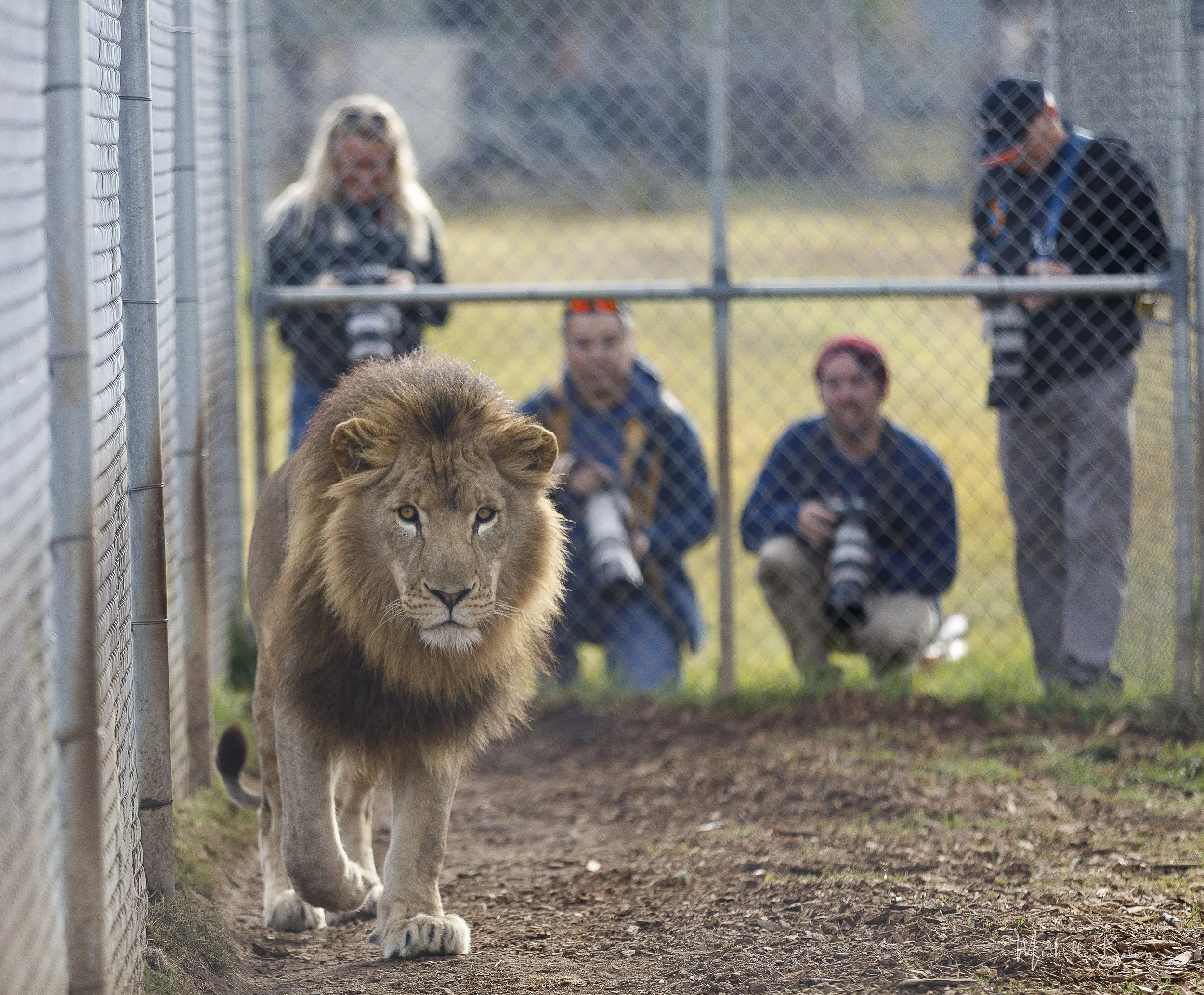 Wildlife Photography Tours Sydney ZAMBI Wildlife Retreat — Zambi